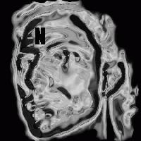 Picture for song 'Plastic Pipes' by artist 'Newboy'