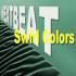 Picture for song 'Swirl Colors' by artist 'NextBeat'