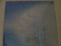 Picture for song 'Return of the Dove' by artist 'Nexus102'