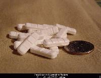 Picture for song 'Drop These Bars' by artist 'N F L i k T e D'