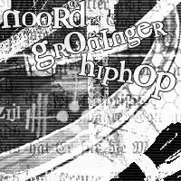 Picture for song 'DaNoor - Lijpe Gek' by artist 'ngh'