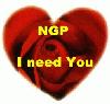 Picture for song 'I need You' by artist 'NGP'