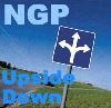 Picture for song 'Upside Down' by artist 'NGP'