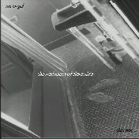 Picture for song 'Foreword' by artist 'Nic Engel'