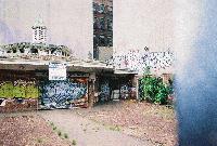 Picture for song 'Average Abnormality' by artist 'Nic inVerse'