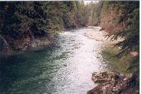 Picture for song 'down by the river' by artist 'Nick Egger'