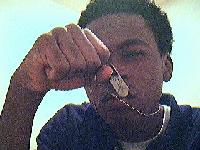 Picture for song 'Smack That' by artist 'N I G Records'