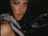 Picture for song 'Snake Charmer (feat. Zmo and Yze)' by artist 'NNVA Productions'