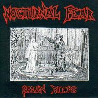 Picture for song 'Can't undo the damage done' by artist 'Nocturnal fear'