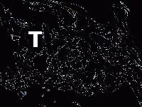 Picture for song 'Quit Stop' by artist 'noise'