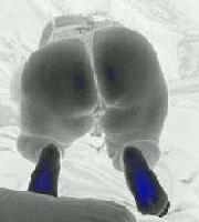 Picture for song 'Cannibal Speak & Spell' by artist 'Noise Attack'