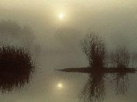 Picture for song 'knees are hills in chinese lake' by artist 'NOISETTES'