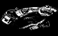 Picture for song 'The Insolent Fan Boy' by artist 'No Kill I Deep Space Nine'
