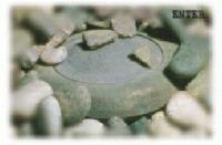 Picture for song 'Front Toward Enemy' by artist 'NOMAD (mid-south music)'