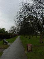 Picture for song 'sunday rain' by artist 'noname(japan)'