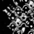 Picture for song 'Repeat Transmission' by artist 'nonplus'