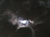 Picture for song 'African Battle Cry' by artist 'No One's Hero (CT)'