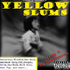 Picture for song 'FLOWSIK.COM YELLOW SLUMS SAMPLER' by artist 'Noose'