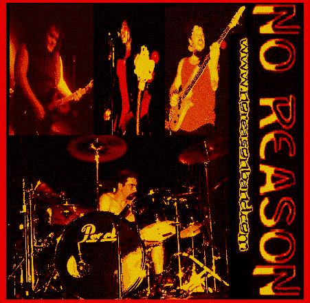 Picture for song 'Friends Like You' by artist 'No Reason Band'