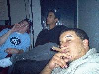Picture for song 'necessay roughness' by artist 'Northen Affiliates'