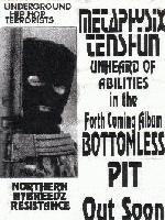 Picture for song 'the aggressor' by artist 'Northern Hybreedz'