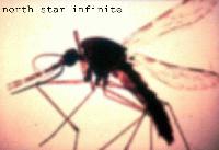 Picture for song 'Immovable Object' by artist 'North Star Infinite'