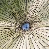 Picture for song 'Parachute' by artist 'Norton Theory'