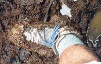 Picture for song 'mud encrusted kicks' by artist 'noshun'