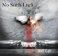 Picture for song 'Down to Me' by artist 'No Such Luck'