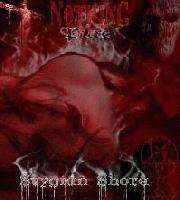 Picture for song 'The Angel's Fall' by artist 'Nothing Pure'