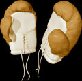 Picture for song 'HayMakers' by artist 'NoToRiOuS jInX'