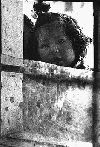Picture for song 'Looking In' by artist 'Not sure yet what it will be'