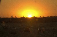 Picture for song 'too far gone (again)' by artist 'Not Yet Known'