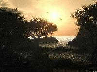 Picture for song 'Rain-filled Windscreens' by artist 'Nowun in Partikular'