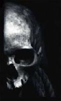 Picture for song 'In Void' by artist 'NP Records'