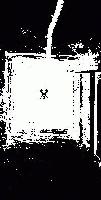 Picture for song 'Polar-639_Xc' by artist 'NP Records'