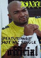 Picture for song 'OFFICIAL' by artist 'NSANE'