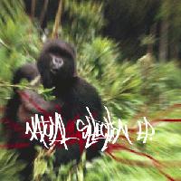 Picture for song 'SoundVillains....' by artist 'NSC testers'