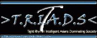 Picture for song 'NTA - Ninja Type' by artist 'NTA'