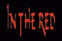 Picture for song 'DEAD FRUIT' by artist 'N THE RED'
