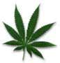 Picture for song 'Pho Recordz-Smoke-N-Choke Feat. Runtz 4rm N-trUDaz' by artist 'N trUDaz'