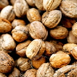 Picture for song 'DJ Ham Sandwich - Beat 4 Jon Doh' by artist 'Nut House Music (Nor Cal)'