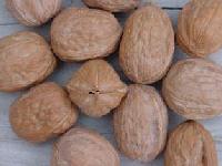 Picture for song 'DJ Ham Sandwich - Gansta Beat (full version)' by artist 'Nut House Music (Nor Cal)'