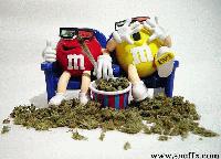 Picture for song 'da captain of da team' by artist 'nutlife'