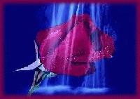 Picture for song 'gift of love' by artist 'o0pnaythuggin0o'