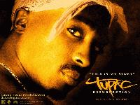 Picture for song '2 of Amerikas most wanted' by artist 'obecitey'