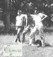 Picture for song 'I Wanna Know' by artist 'Objecks'