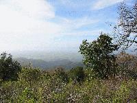 Picture for song 'Lady of the Sky (test mix 2)' by artist 'Objecks projecks'