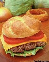 Picture for song 'i'll Buy you a Cheeseburger' by artist 'oBLio'