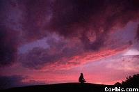 Picture for song '~Squandering in this Life~' by artist 'oBLio'